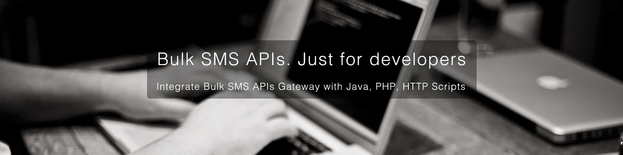 Bulk SMS Api Developers