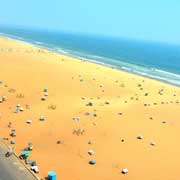 Chennai Bulk SMS