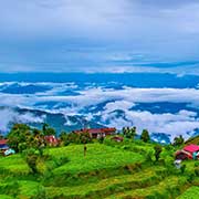 Darjeeling Bulk SMS