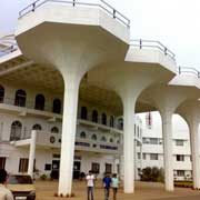 Haldia Bulk SMS