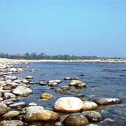 Jalpaiguri Bulk SMS