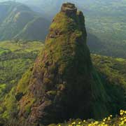Panvel Bulk SMS