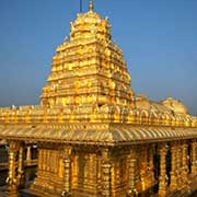 Vellore Bulk SMS