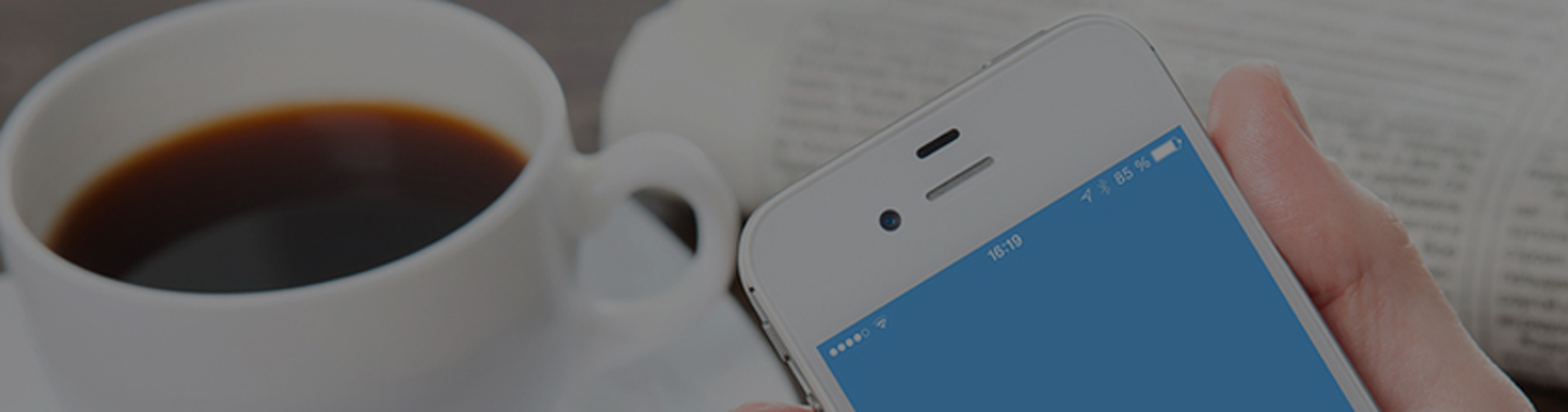 web sms