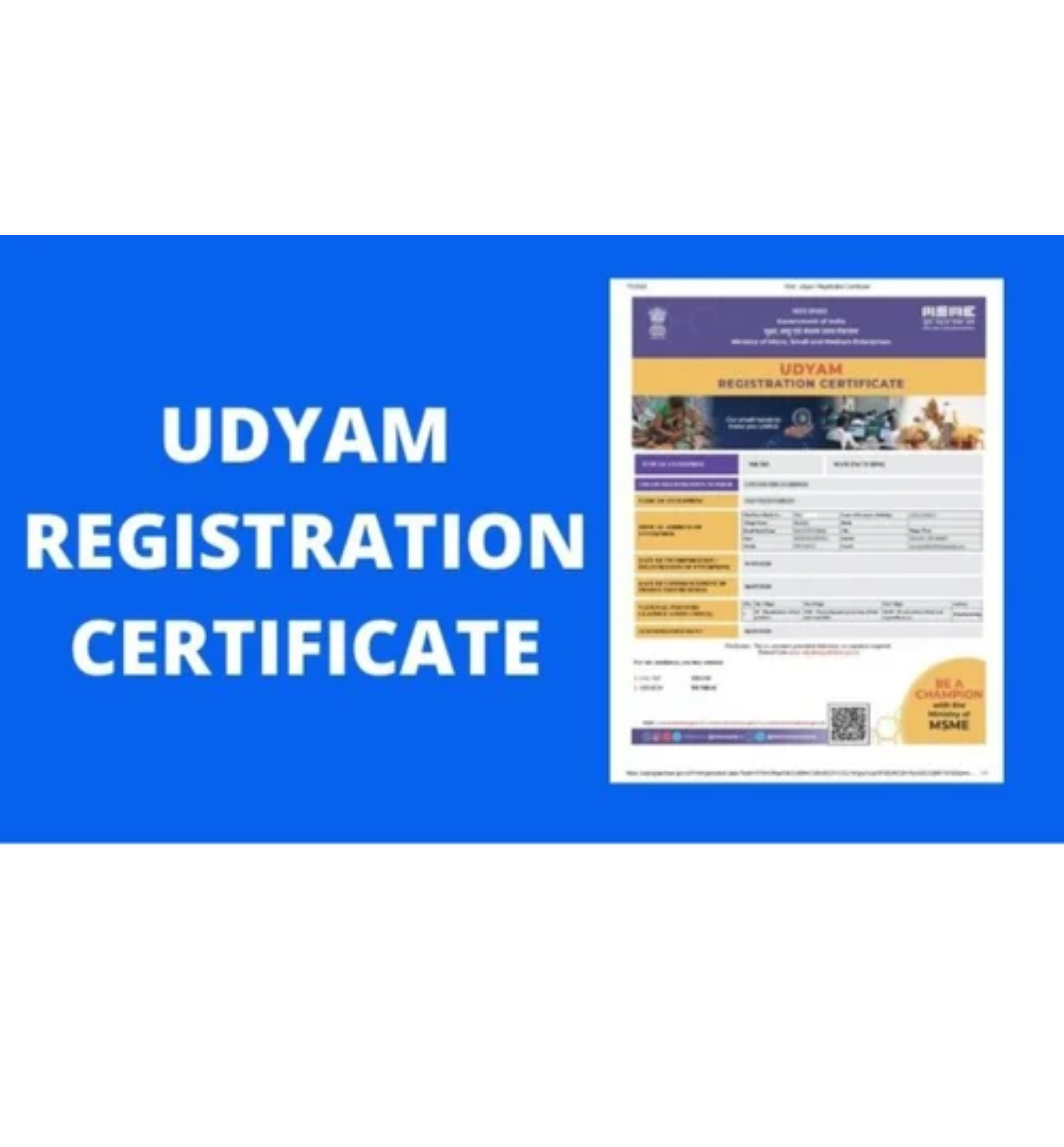 UDYAM (MSME) Registered